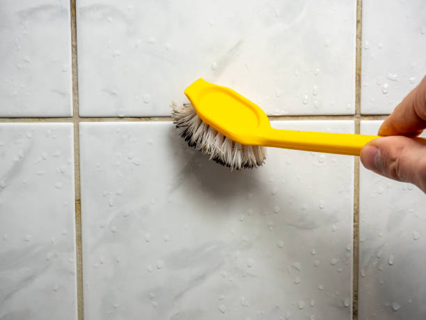 Best Mold Removal Near Me  in Malone, FL