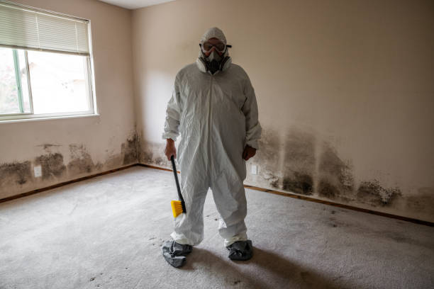 Best Mold Cleaning Services  in Malone, FL